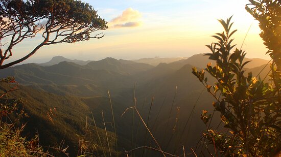 Mount Hamiguitan Range