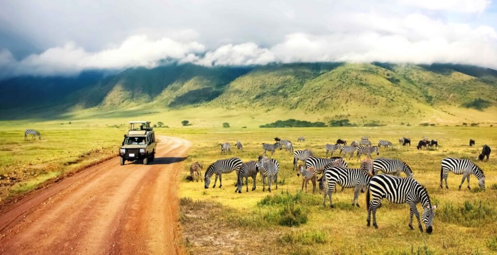 Top Countries for Wildlife Safaris in North America