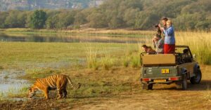 Top Wildlife Safari Locations