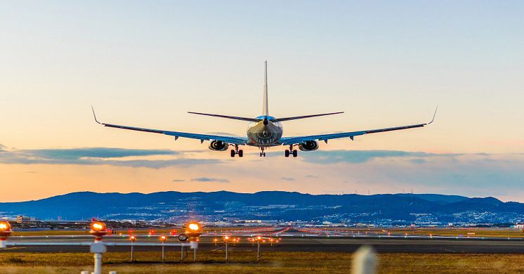 Who Should Use FlightNetwork