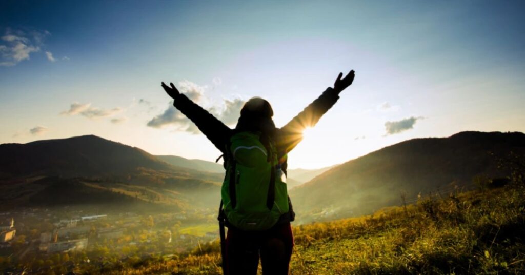 Best Solo Travel Destinations For Wildlife Encounters