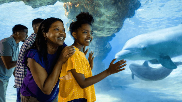 Exclusive Online Promotions and Seasonal Deals