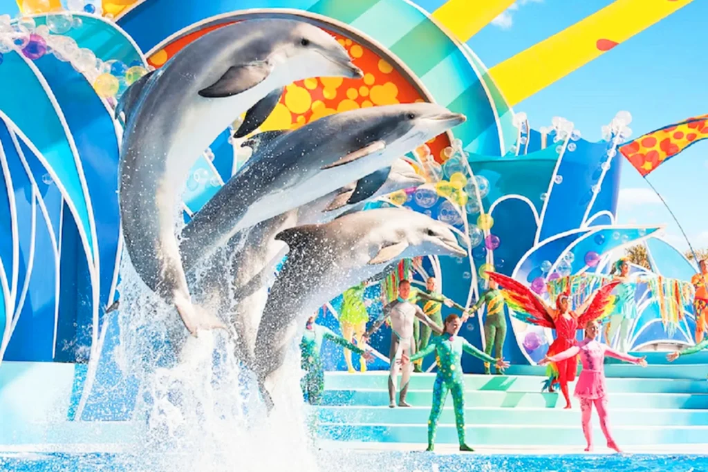 Tips to Maximise Your Savings