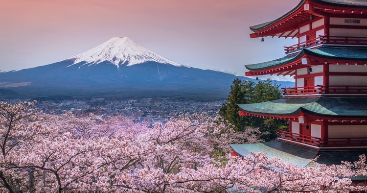 Best Time to Book a Flight to My Perfect Vacation to Japan