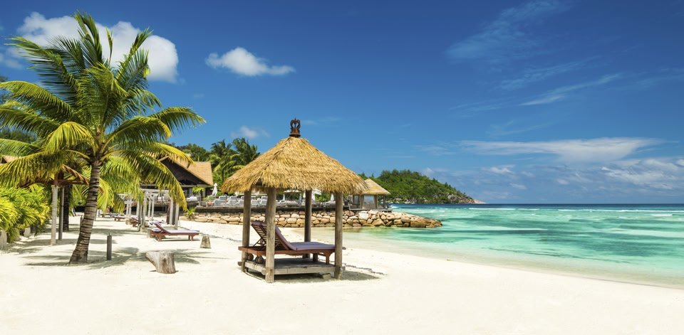 Choosing the Right Airline