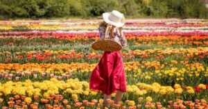 Day Trips From Hamilton Ontario