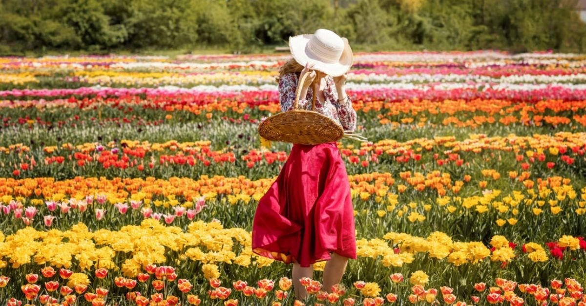 Day Trips From Hamilton Ontario