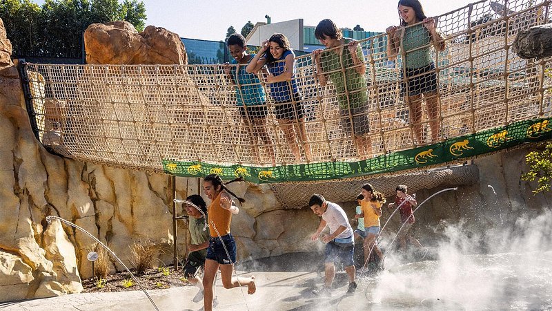 Top Family Vacation Spots in the USA