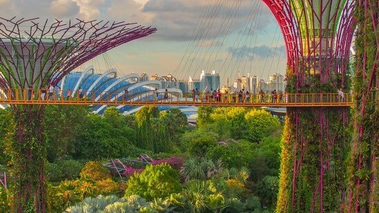 Eco-Friendly Historic City Tours