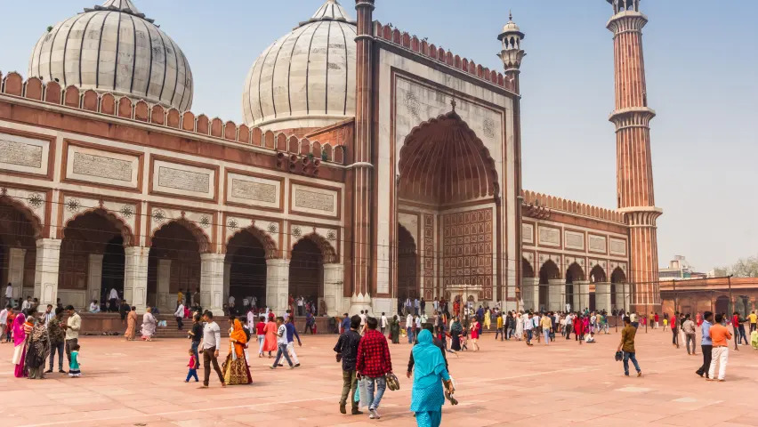 Historic City Tours with Guides for Families