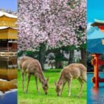 day trips from osaka