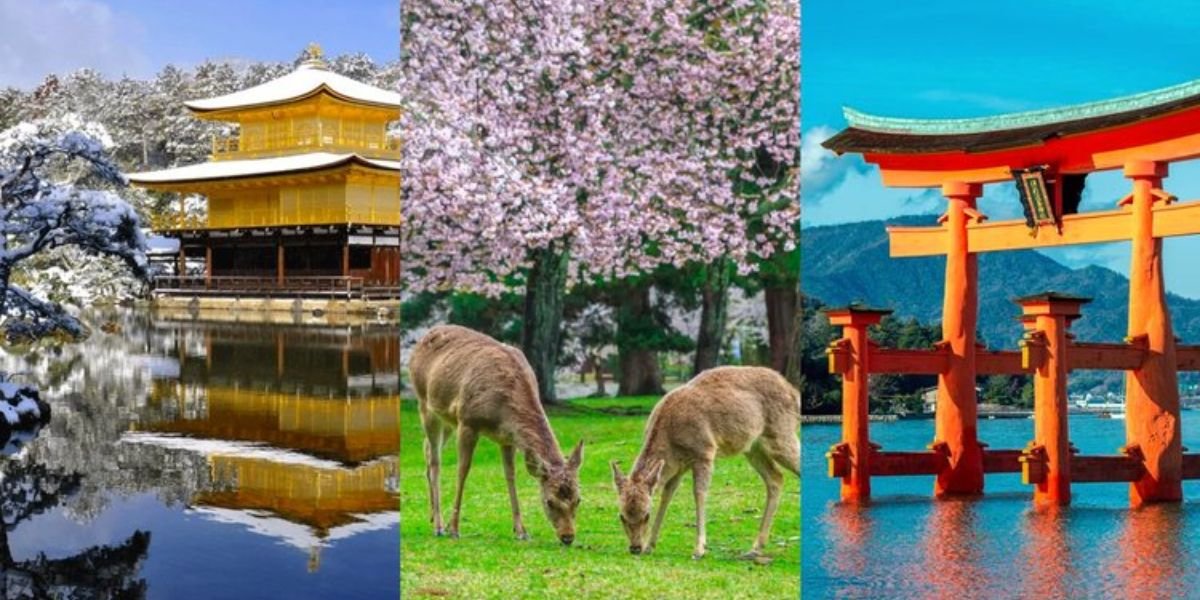 day trips from osaka