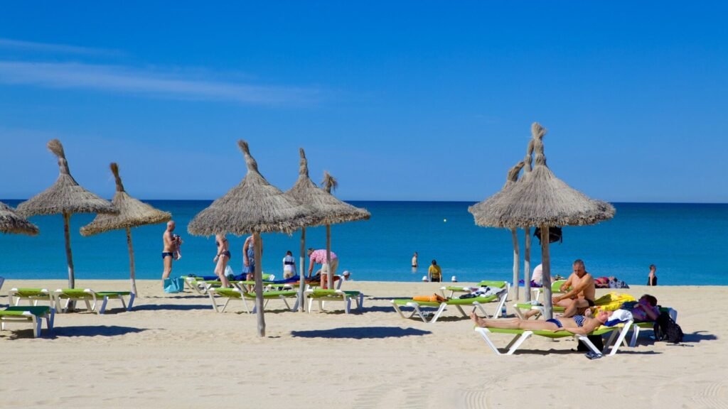 How to Reach Palma de Mallorca